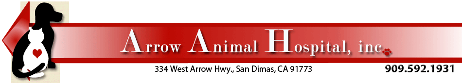 Arrow Animal Hospital