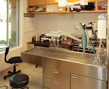 vet dental table