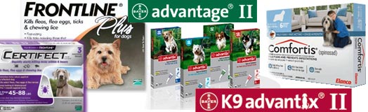 Frontline Plus, Advantage, Comfortis, Certifect, flea control