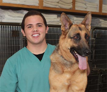 vet technician