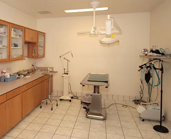 vet surgical room